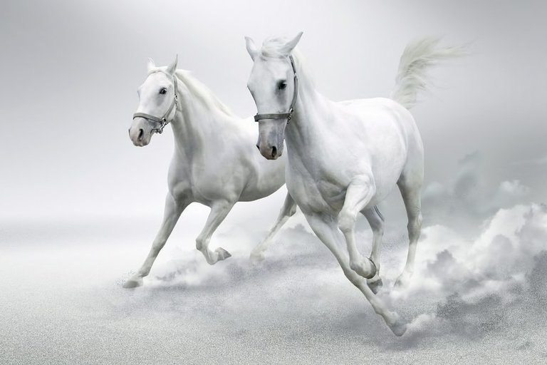 white-horses.jpg