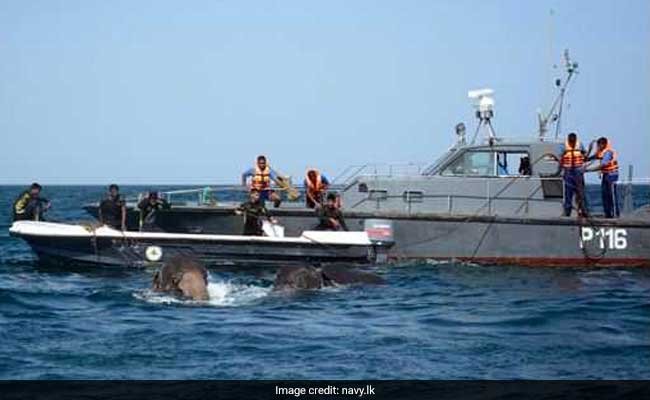 sri-lankan-navy-rescues-elephants-650-navy-website_650x400_51500877686.jpg