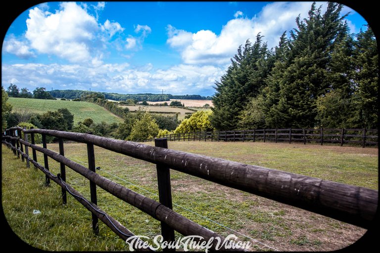 England Summer 2017 (50 of 478).jpg