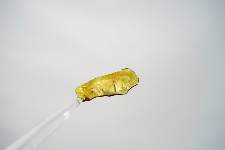 lemon-glue-1.jpg