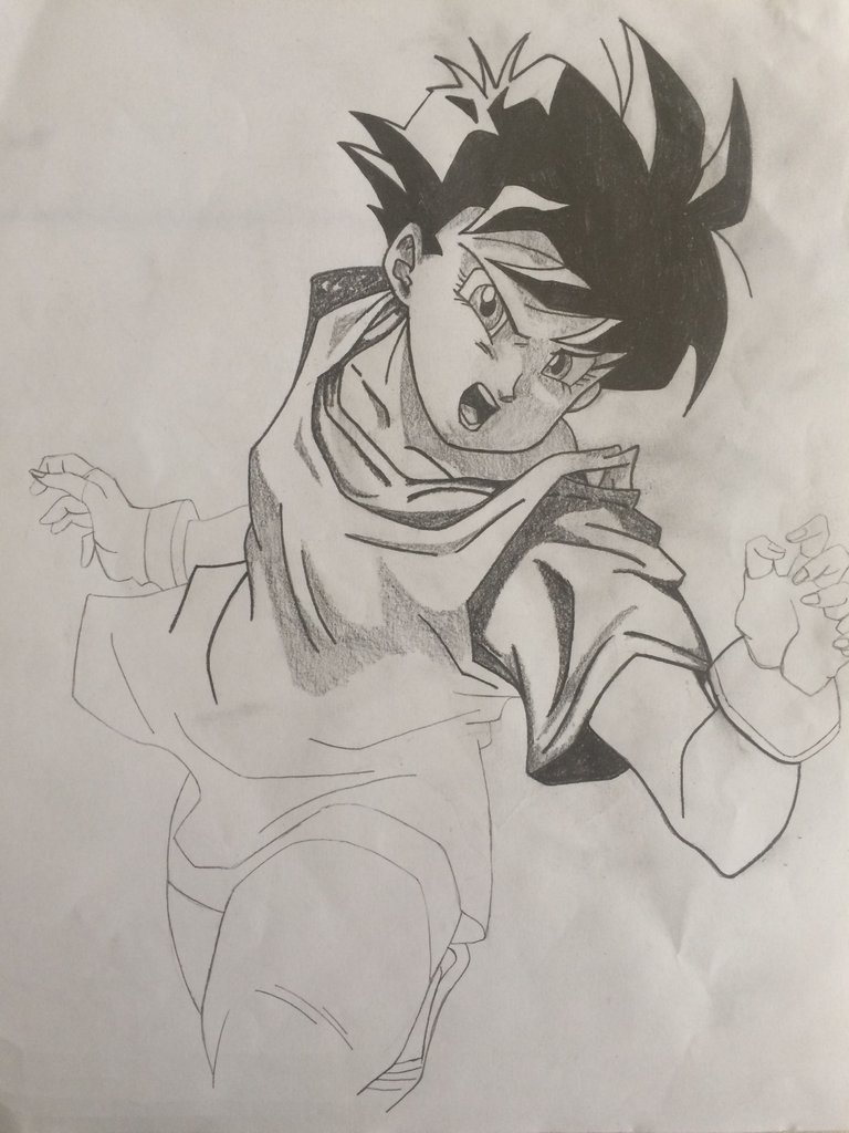 videl 11.JPG