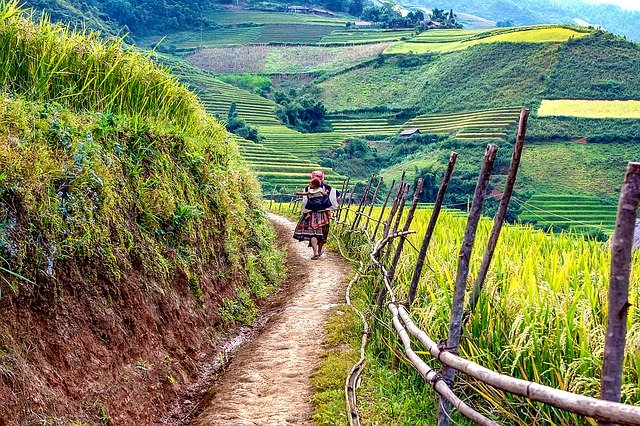 maxpixel.freegreatpicture.com-Scenery-Child-A-Village-Road-The-Mother-1505000.jpg