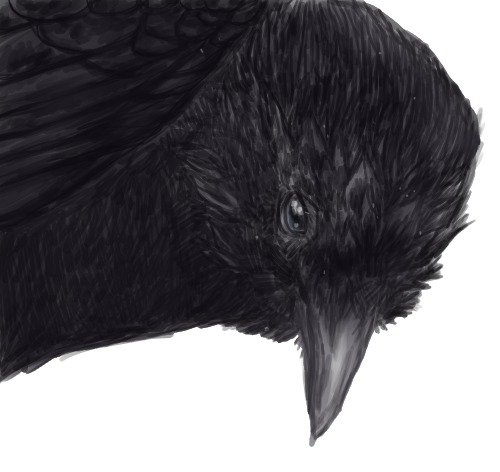 the raven.jpg