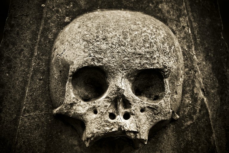 skull-3309877_1920.jpg