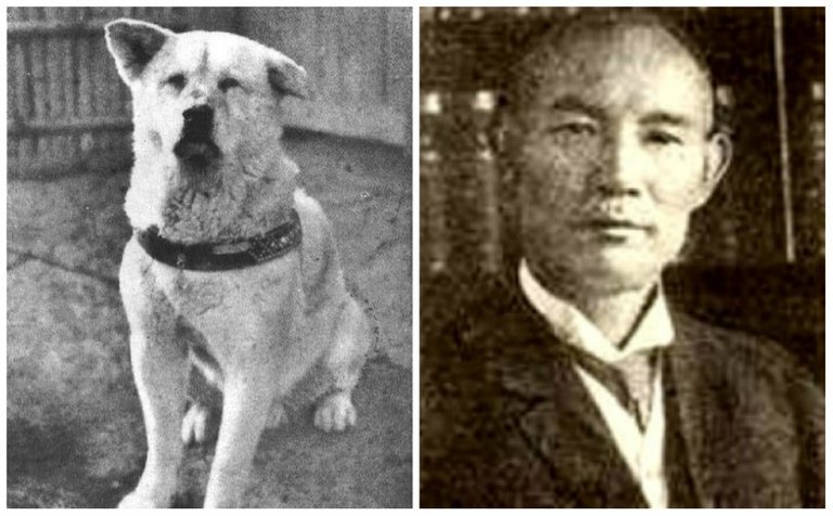 hachi-and-owner.jpg