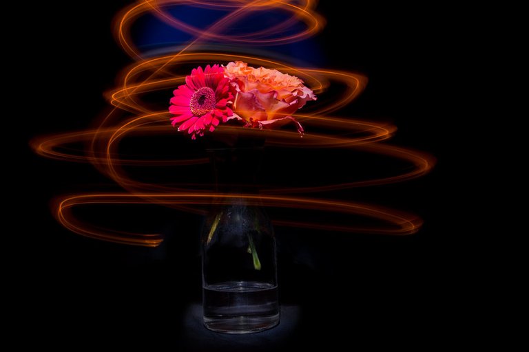 lightpainting_pitaya_3.jpg