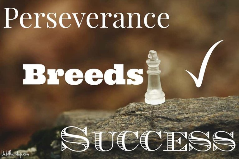 perseverance_breeds_success_img.jpg