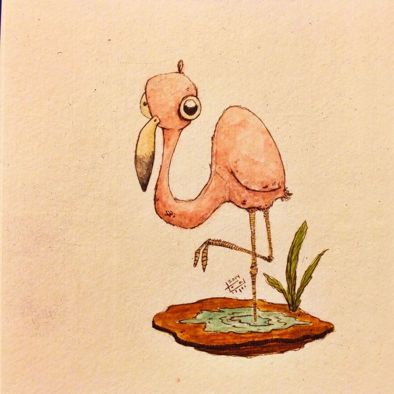 MingoTheFlamingo copy.jpg