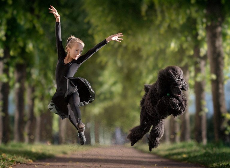 2_CATERS_BLACK_POODLE_BALLET_03-1024x751.jpg