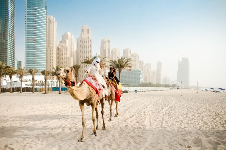 CJ Miles Riding a Camel in Dubai Marina.jpg