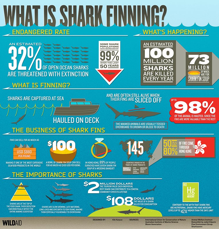 WhatIsSharkFinning_web.jpg