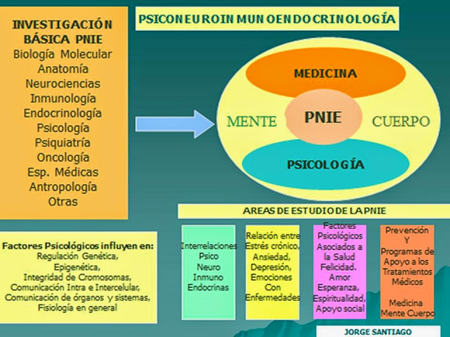 PNIE panorama1.png