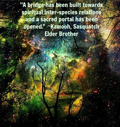 kamooh-quote-5.jpg