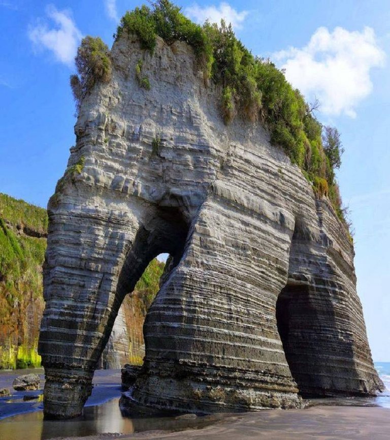 Elephant Rock in New Zealand.jpg