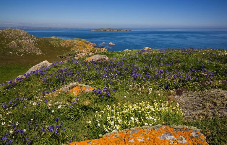 saltee-islands.jpg