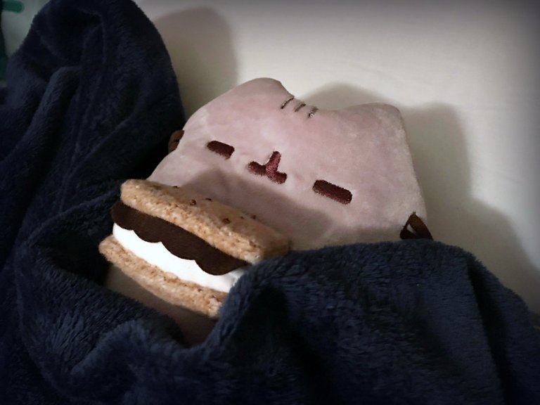 sleeping Pusheen.jpg