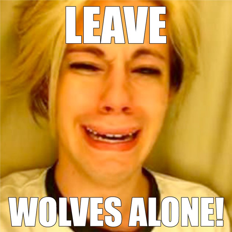 leavewolvesalone.jpg