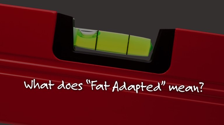 fat-adapted-Image1.jpg