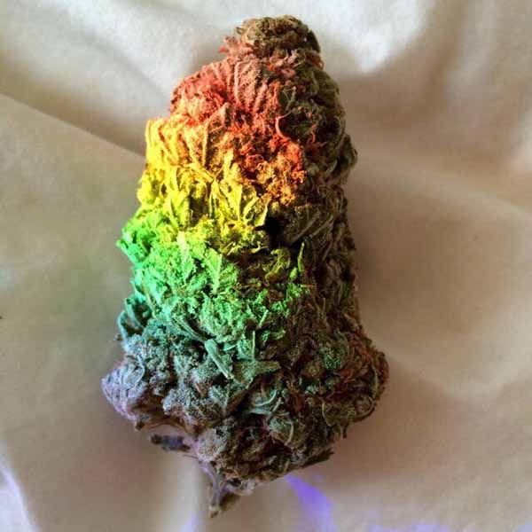 RAINBOW-KUSH.jpg