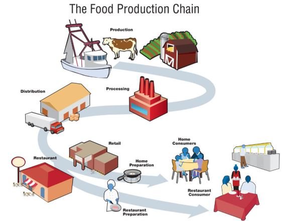 Foodnproduction.JPG