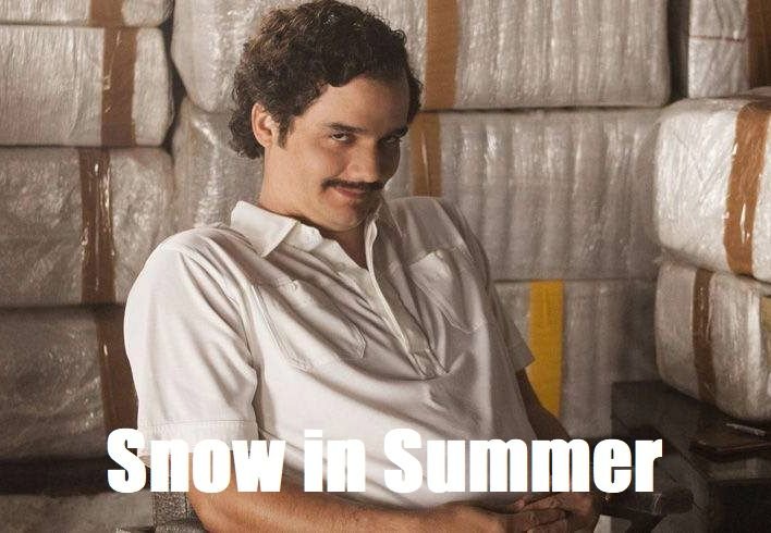 snow_in_summer.jpg