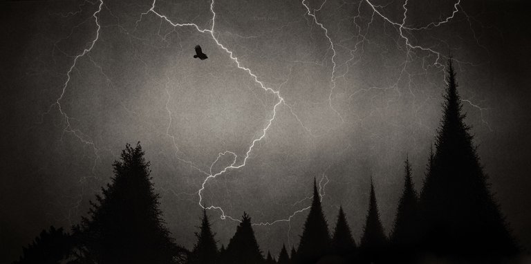 Lightning Silhouette Final - Casey Neal Artwork.jpg