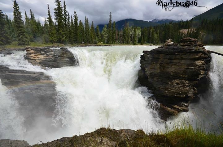 athabasca falls10.jpg