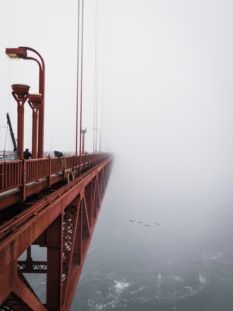 GG Bridge Vögel.jpg