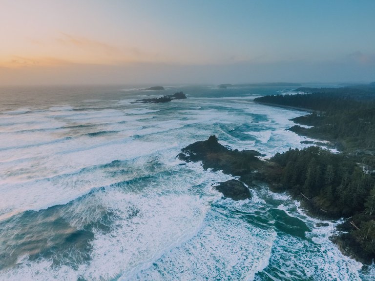 drone_tofino-15.jpg