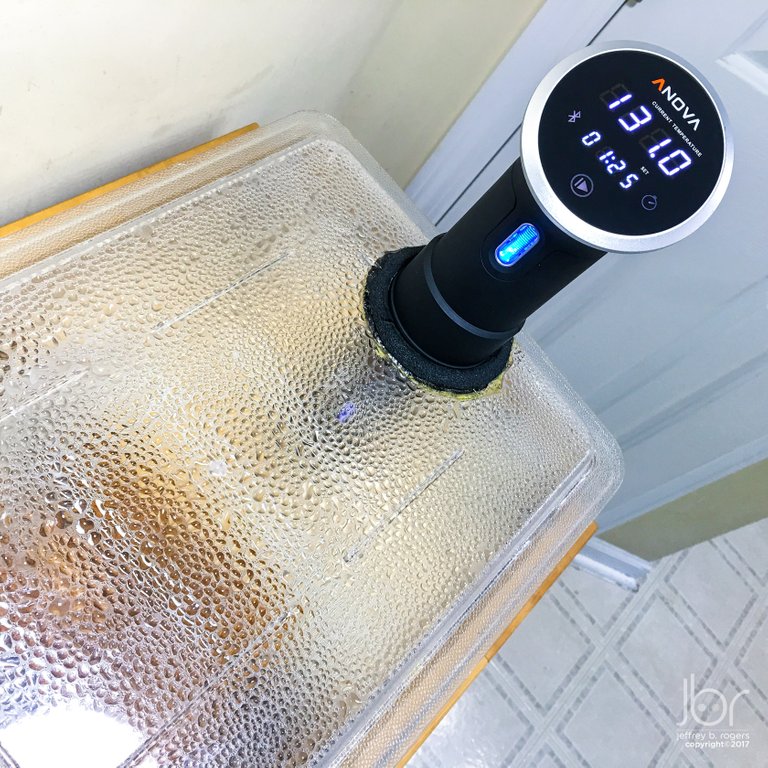 sous_vide_steak_05.jpg