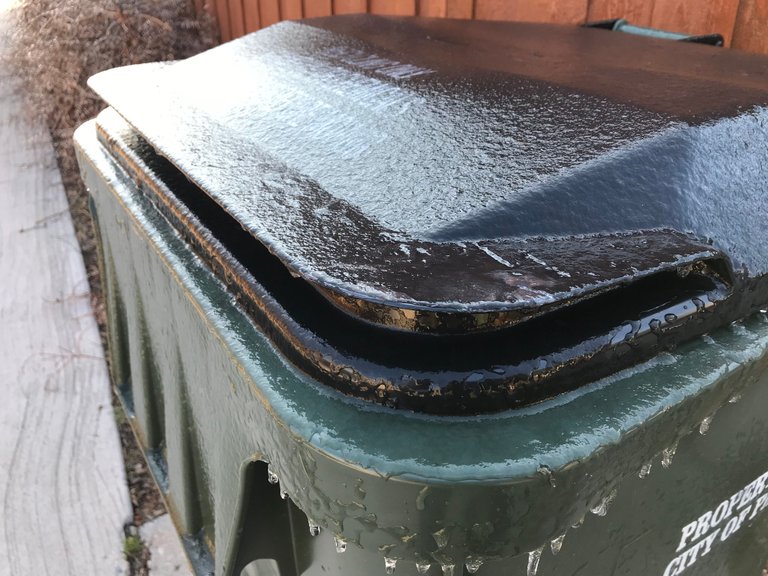 frozen_bin.jpg