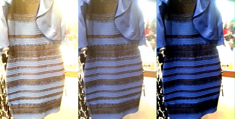 BAScience_theDress_09.jpg