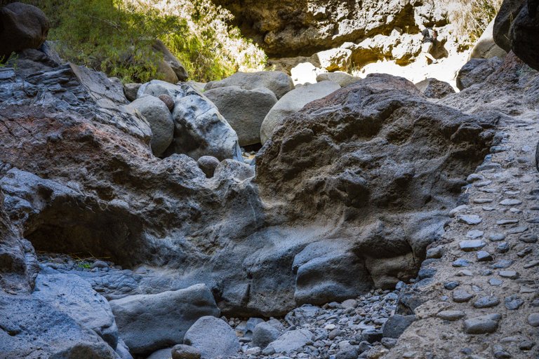 Tenerife day 6 Masca_217.jpg