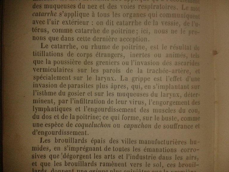 Manuel anuaire de la santé 1853 Grippe.jpg