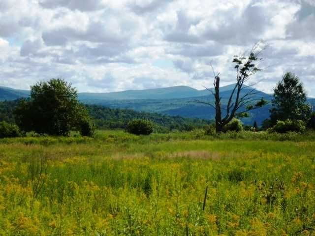 Vermont Land 40 acres.jpg