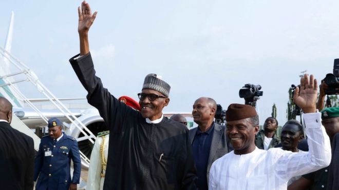 Nigerian President to 'Work From Home' After Rat Infestation.jpg