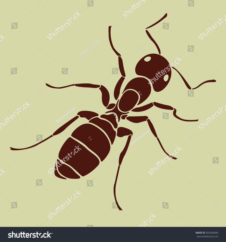 stock-vector-ant-303356666.jpg