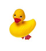 duck.jpg