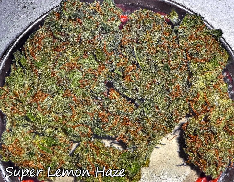 superlemonhaze309.JPG