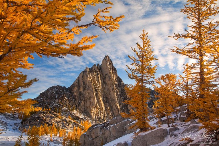 prusik-peak-enchantments-larches-20111013_0735.jpg