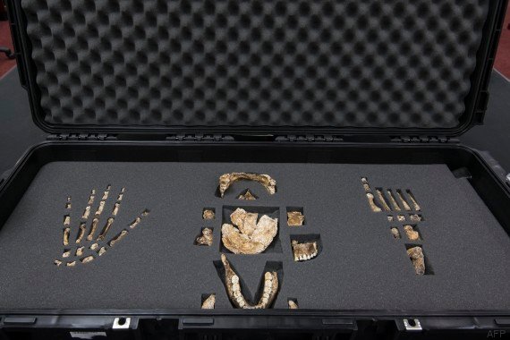 o-HOMO-NALEDI-570 (4).jpg