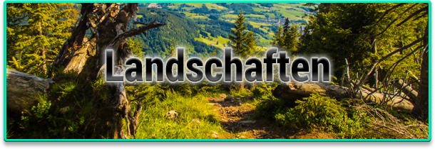 Landschaft2.png