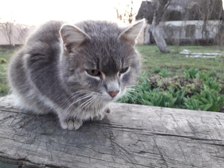 photo_2018-04-16_21-31-11.jpg