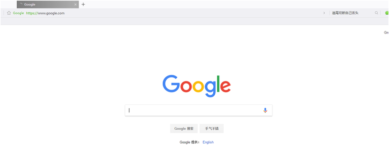 打开google.com