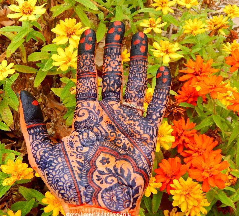 STRONGER jagua and henna palm.JPG