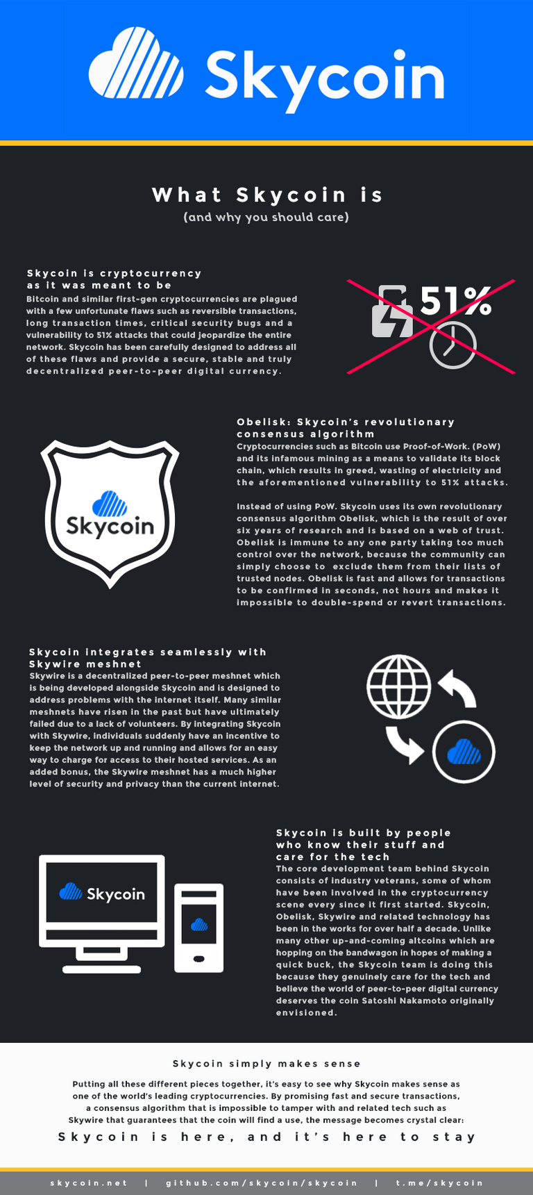 Skycoin-Infographic.png