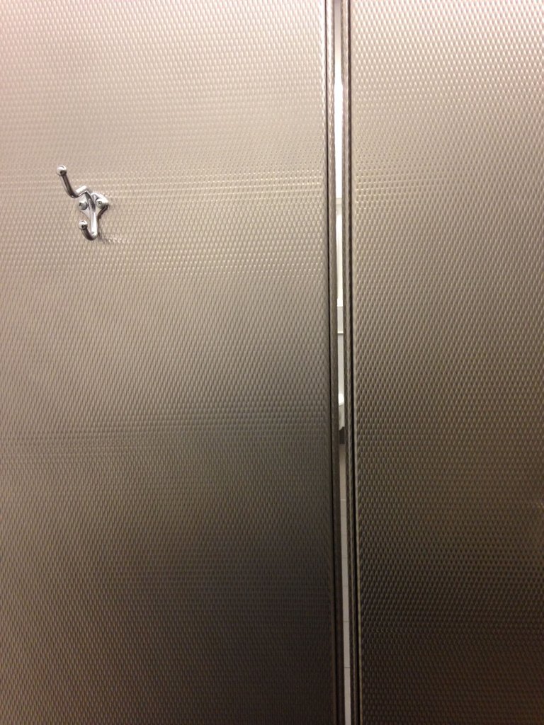 Toilet door gap.jpg