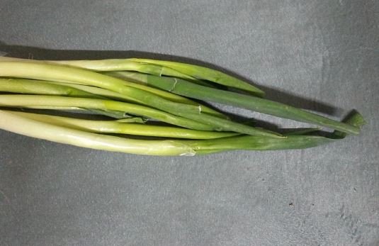 green onion.JPG