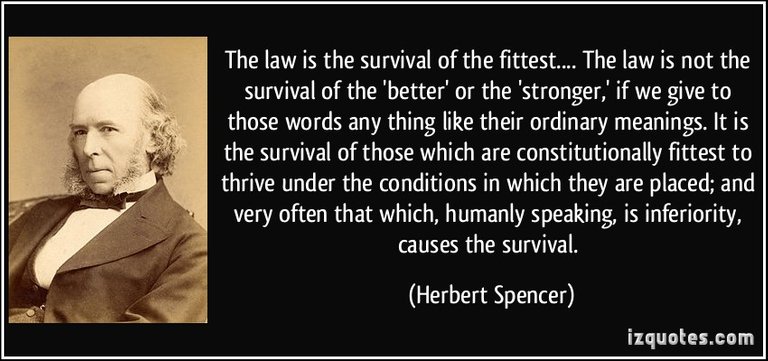 quote-the-law-is-the-survival-of-the-fittest-the-law-is-not-the-survival-of-the-better-or-the-herbert-spencer-310740.jpg