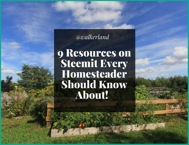 nine_resources_on_steemit_every_homesteader_should_know_about.jpg